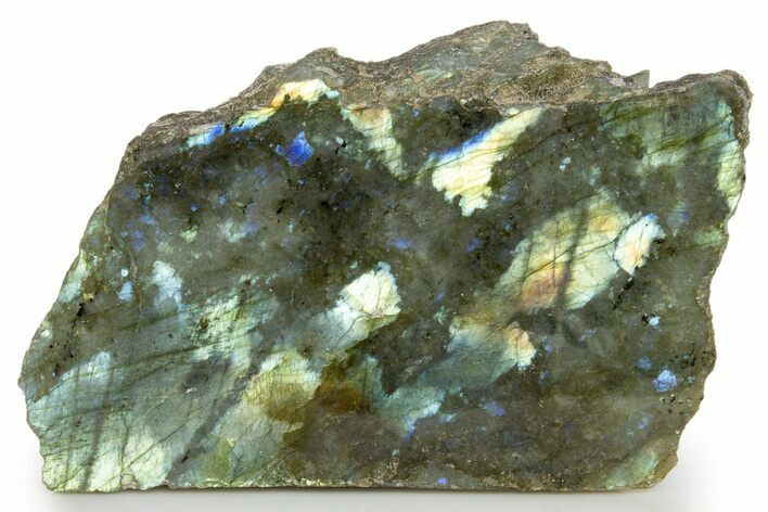 Single Side Polished Labradorite Section - Madagascar #324636